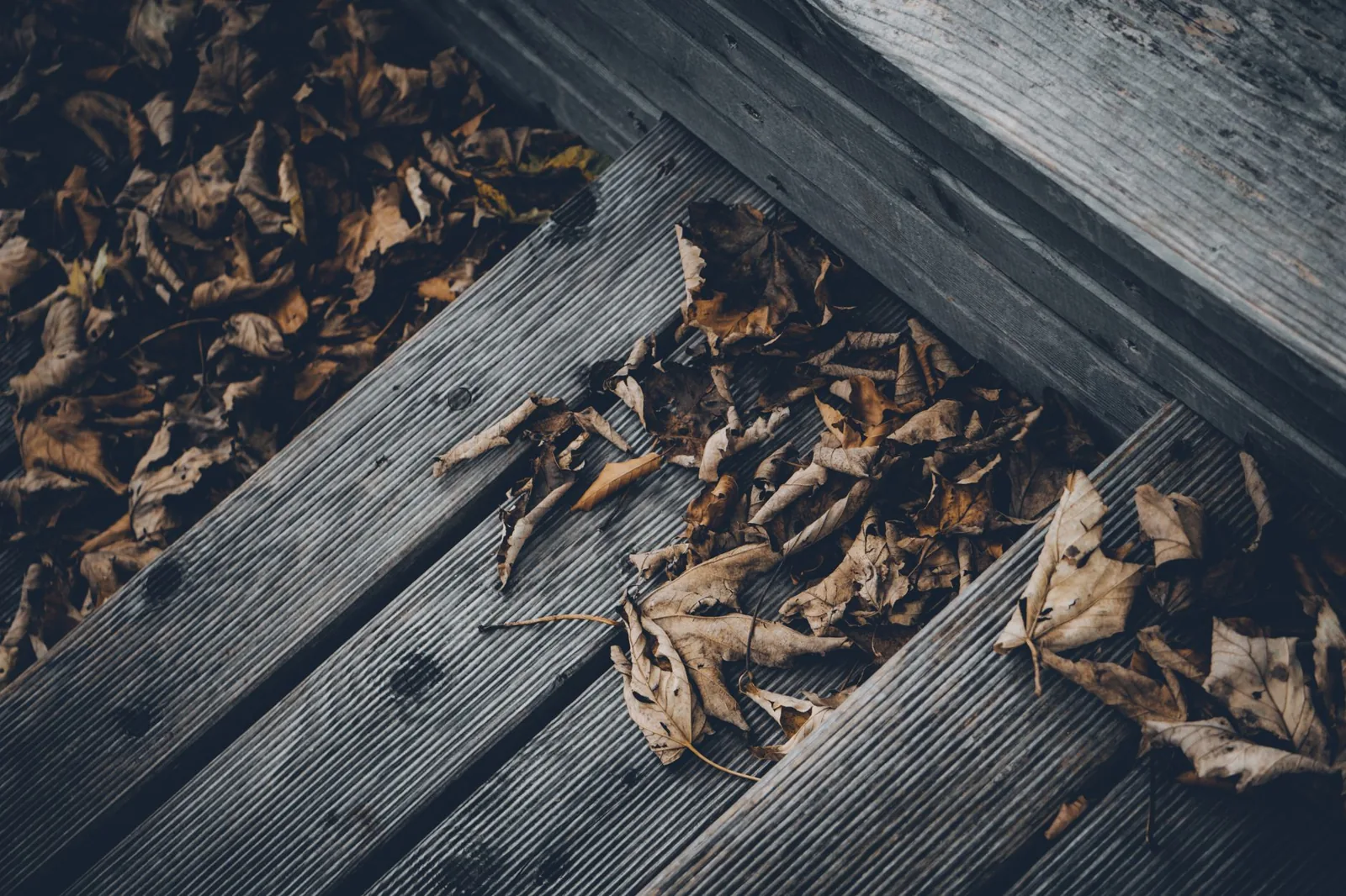 how much should a deck cost to replace