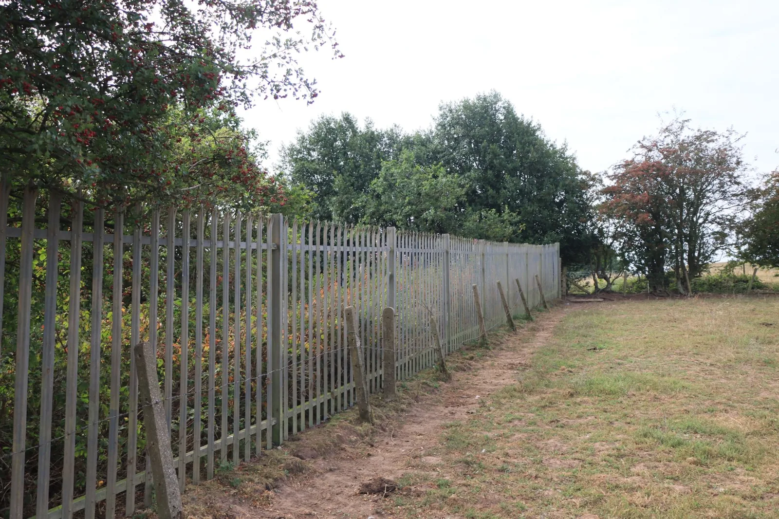 How much does it cost to replace a fence per foot — red cedar privacy fence panels with fresh set posts
