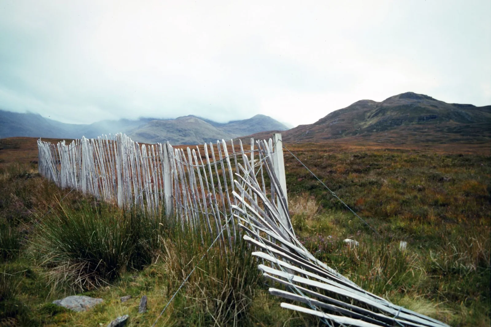 how much should a fence cost