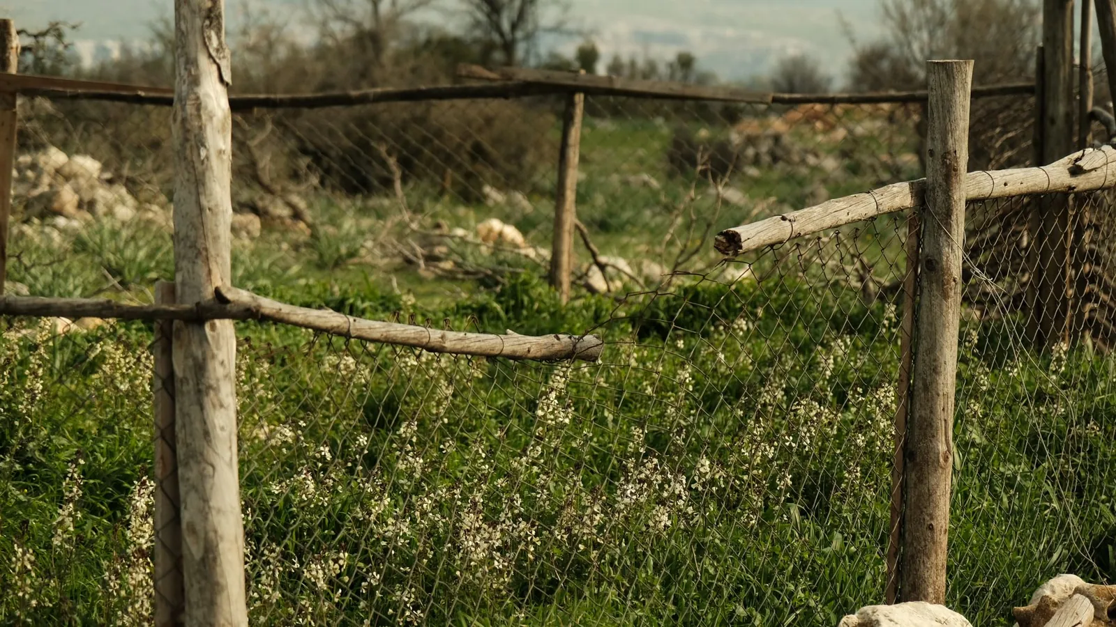 How much average fence cost depends heavily on the material you choose