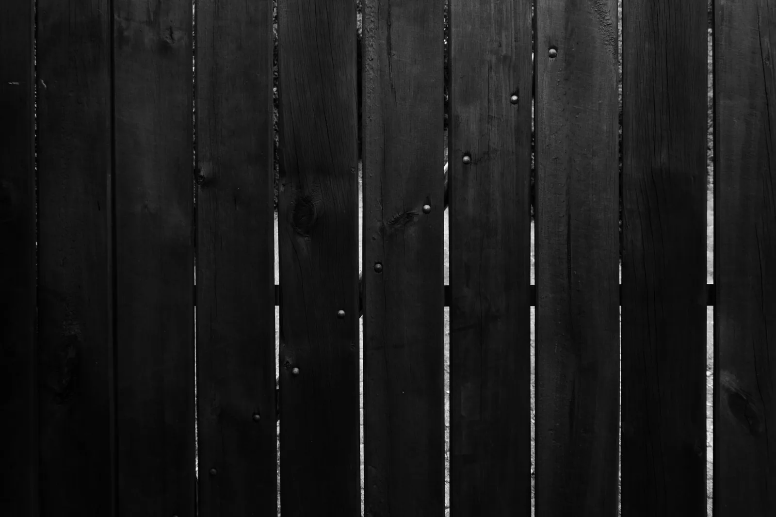 A white vinyl privacy fence along a neatly trimmed backyard lawn
