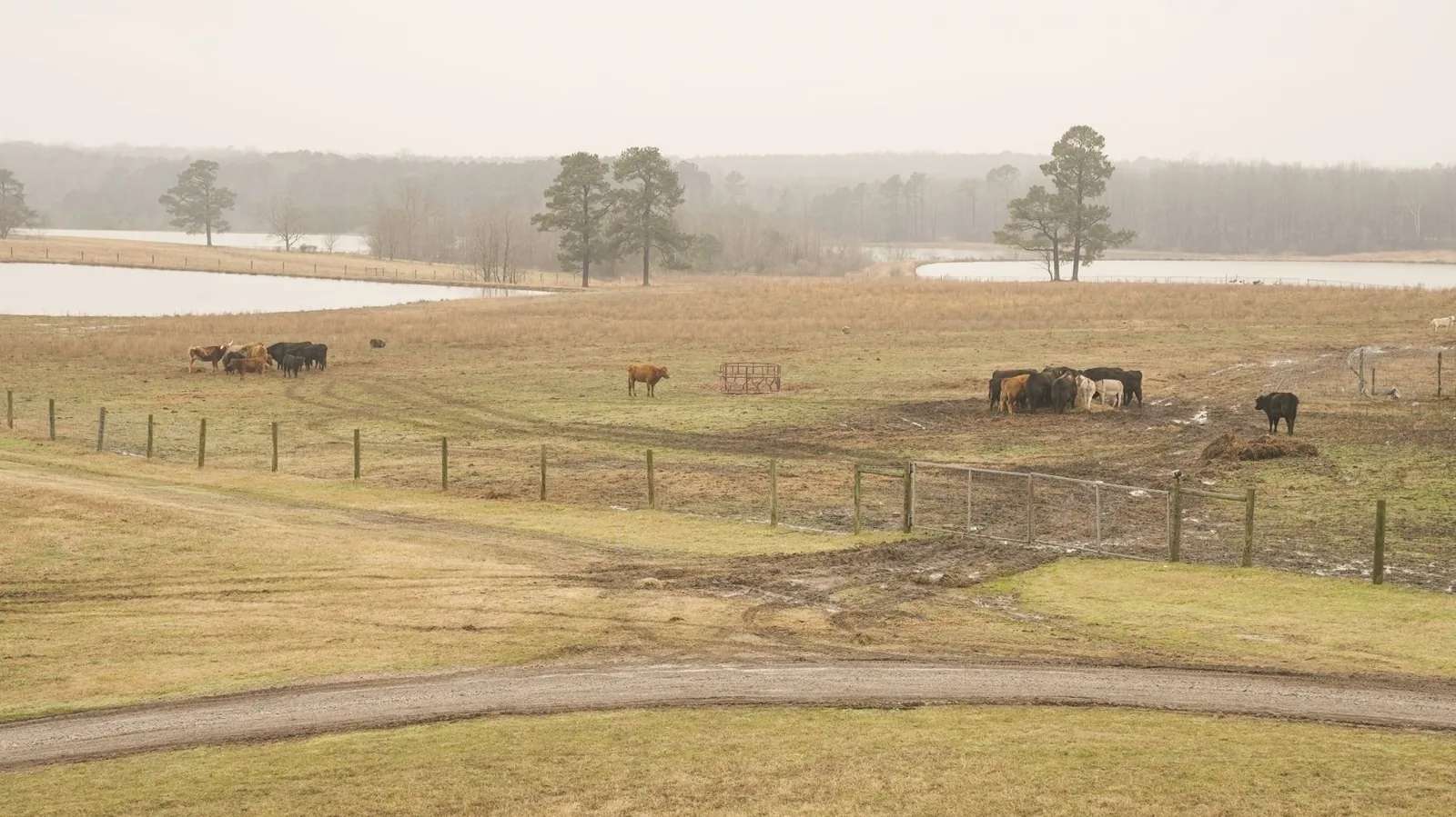 Wood post and rail farm fence in an open pasture