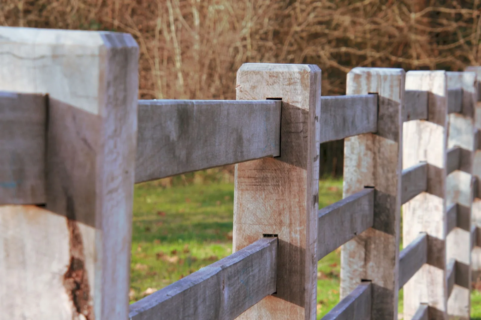 A cedar wood privacy fence with a gate at the edge of a yard