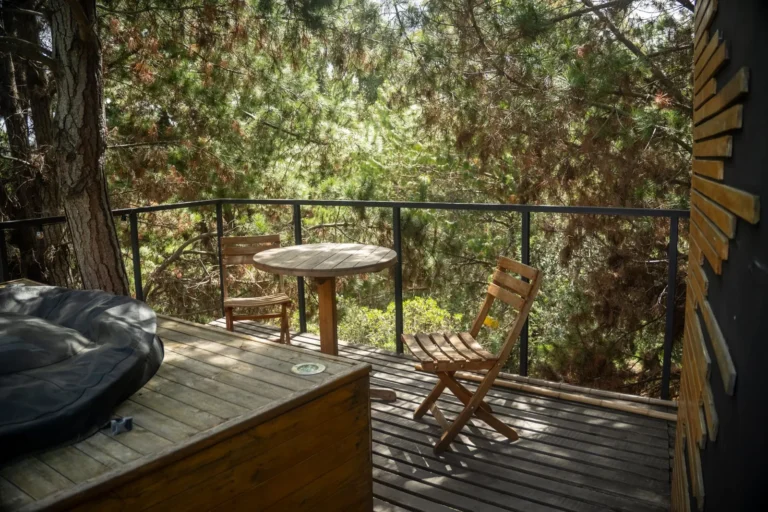 How Much Should a Deck Cost to Replace? A Complete 2026 Pricing Guide