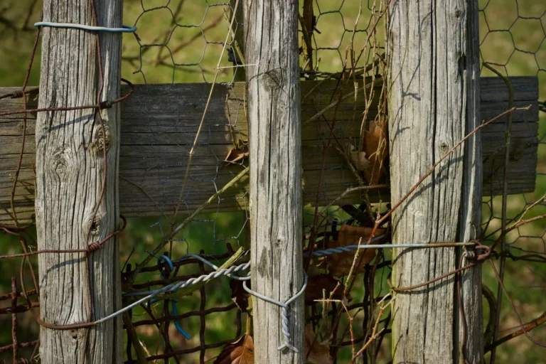 How Much Does It Cost to Replace a Fence Per Foot? (2025 Price Guide)