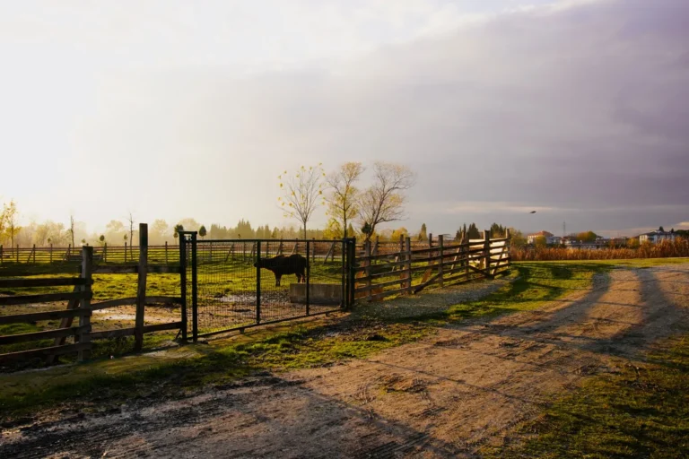 Farm Fence Installation Cost Per Foot: 2025 Pricing Guide
