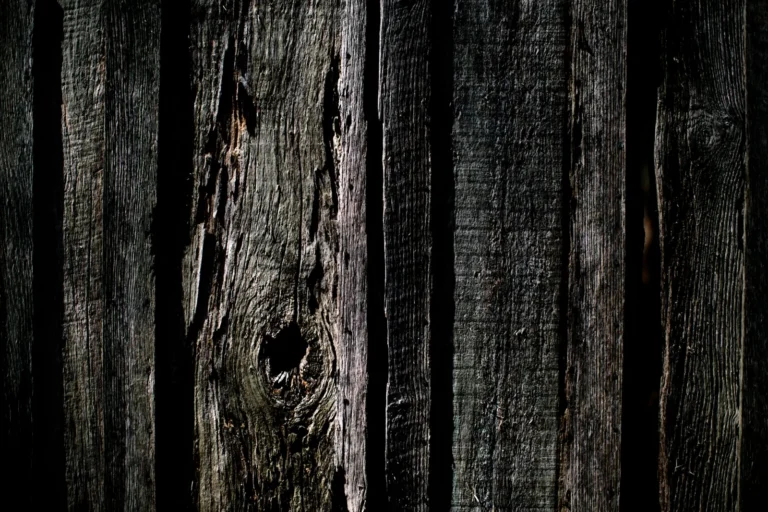 Vinyl Fence Cost vs Wood Fence Cost: Which Is Cheaper in 2025?